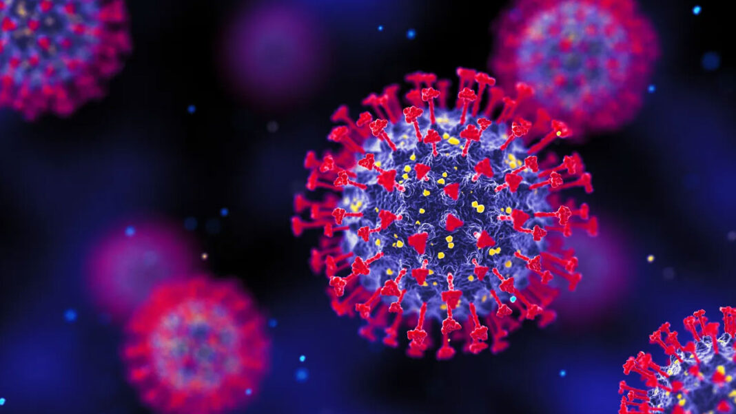 coronavirus